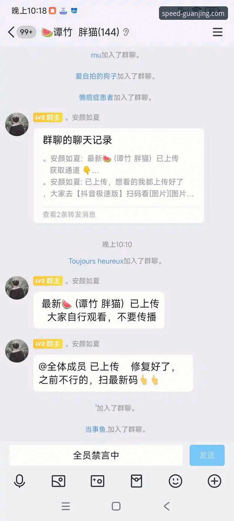 冠竞体育官网最新动态：2024版CG极速赛事安装教程全面升级，v2.0.8版本实测体验公开